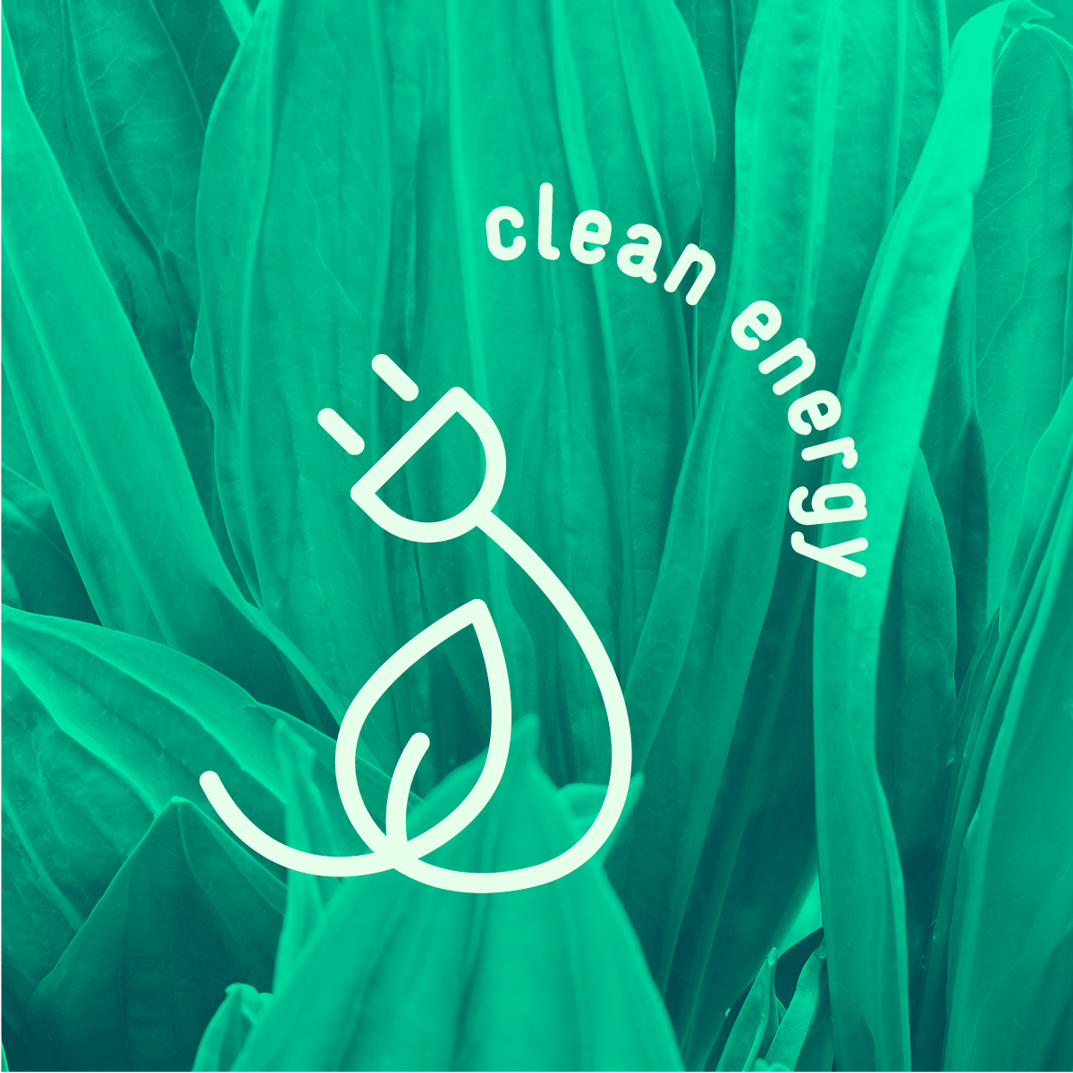 réseaux sociaux GreenUP